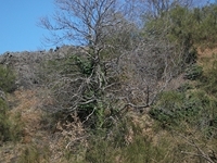 nte Fontane-01042012 114